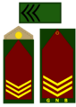 SM3GNB