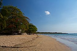 Archivo:Tamarindo beach-Guanacaste-Costa Rica