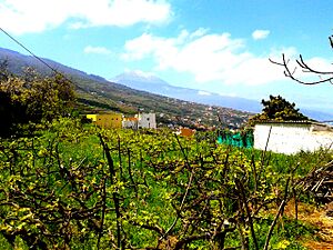 Archivo:Teide desde La Victoria