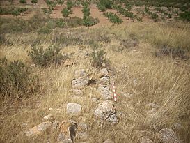 TorredelosAlmendros04.JPG