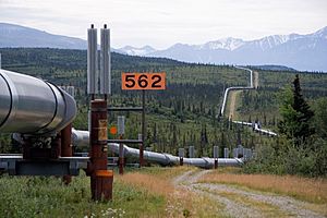 Archivo:Trans-Alaska Pipeline System Luca Galuzzi 2005