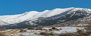 Archivo:Unnamed2 - panoramio (4360)