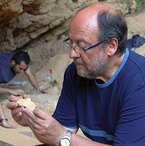 Archivo:Valentín Villaverde, director de las excavaciones arqueológicas de la Cova Negra