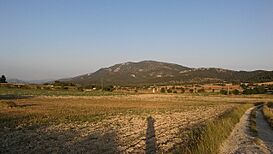 Vall de Polop.jpg