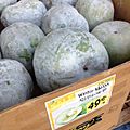 Winter melon (Benincasa hispida) mature fruits for sale