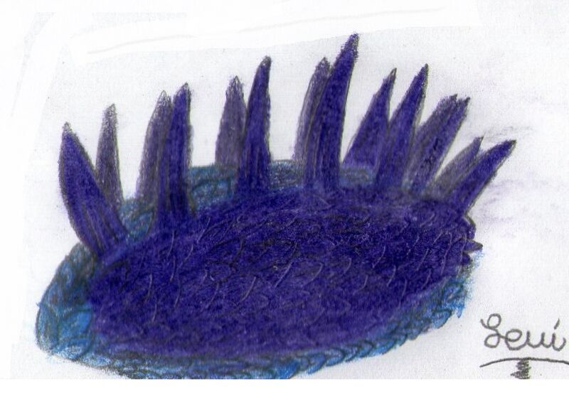 Wiwaxia taijianjenjis (1)