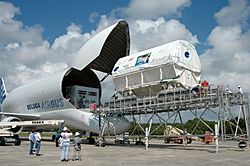 Archivo:Airbus (A300-600ST) Beluga unloading Columbus