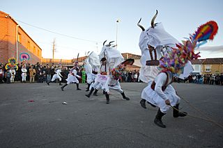 AntruejoVelillaReina2012 11.jpg