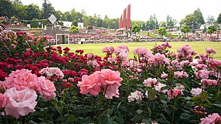 Aramaki rose park12s2400