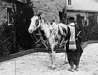 Archivo General de la Nación Argentina 1927 cabalgata en caballos criollos.jpg