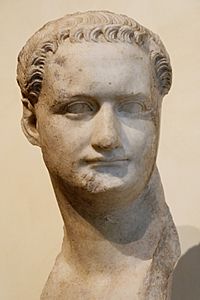 Archivo:Bust Domitian Musei Capitolini MC1156