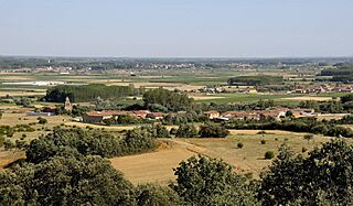CXB4029-c-r web+nom (cropped).jpg