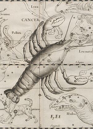 Archivo:Cance - Prodromus astronomiae 1690 (5590465) (cropped)
