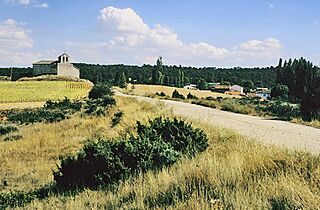 Cascajosa (2007).jpg