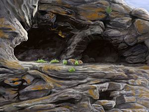 Archivo:Cueva Fell Painting