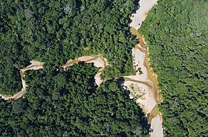 Archivo:DJI 0364 copia
