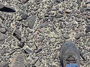 Archivo:DesertPavementMojave2010