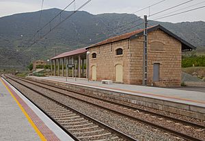 Archivo:Estación de FF.CC., Paracuellos, España 2012-05-19, DD 04