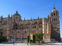 Fachada norte de la Catedral Nueva de Salamanca