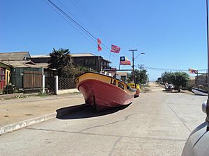 Archivo:Fishing boats in Agustín Ross Ave., Pichilemu, on March 12, 2011