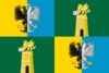 Flag of the Province of Rovigo.svg