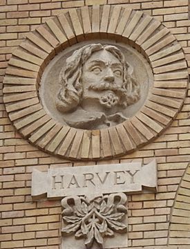 Archivo:Harvey Paraninfo Zaragoza