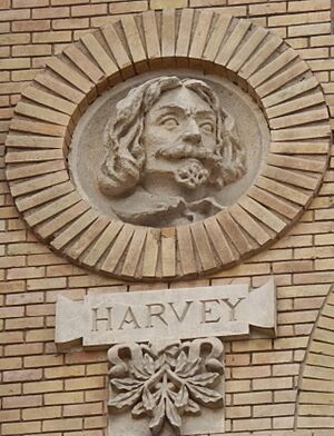 Archivo:Harvey Paraninfo Zaragoza