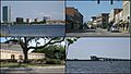 LC Collage