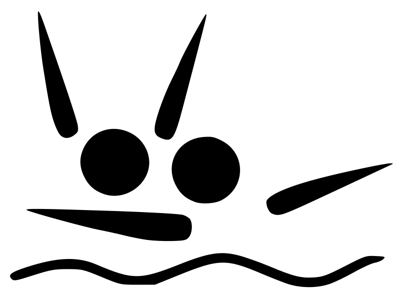Lifesaving pictogram
