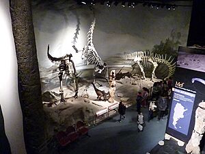 Archivo:Museo Egidio Feruglio 015