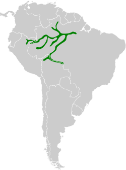 Distribución geográfica del hormiguerito plomizo.