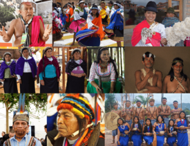 Nacionalidades y pueblos indígenas de Ecuador.png