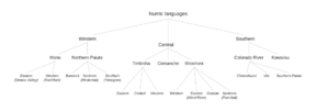 Archivo:Numic tree