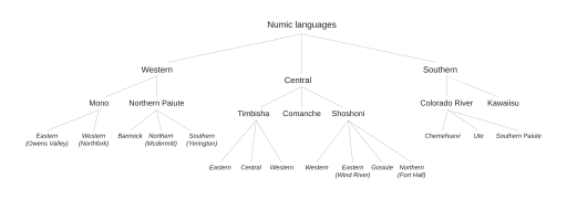 Numic tree