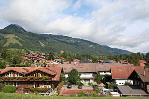 Archivo:Obermaiselstein 007
