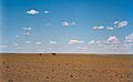 OmnogoviLandscape
