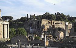 Archivo:Palatino (Palatine Hill, Rome)