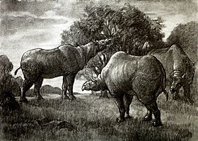 Archivo:Paraceratherium herd