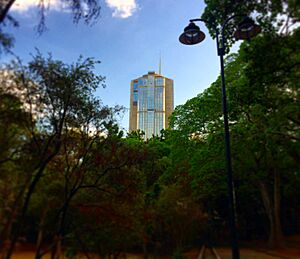 Archivo:Parque Central desde el Parque Los Caobos, Torres de Parque Central