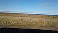 Pastures in Chilean Patagonia