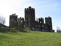 Riber Castle - geograph.org.uk - 1236682