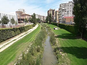Archivo:Riu Sosa a Montsó 20180728 144303