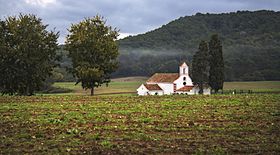 Santa Maria de les Feixes.jpg