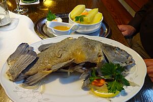 Archivo:Schleie blau Fischküche Förster (2)