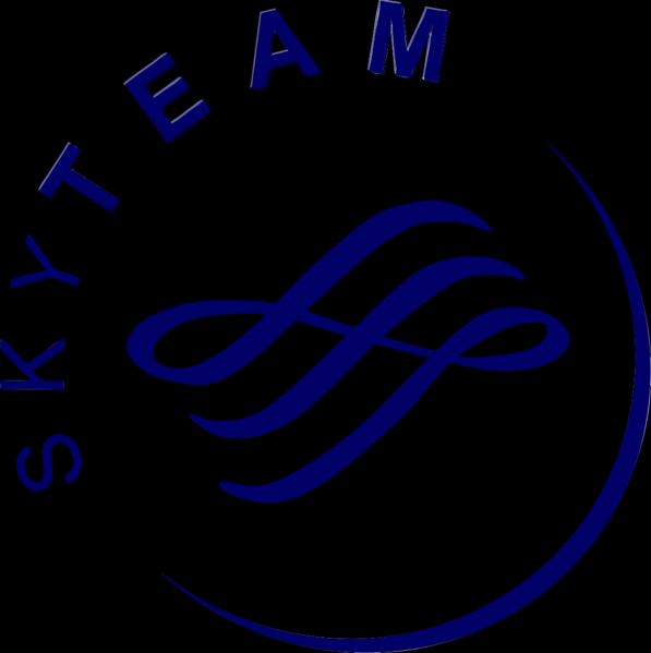 Skyteam Logo Alliance
