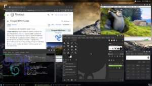 Archivo:Trisquel XFCE 11 in Desktop