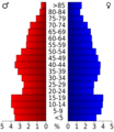 USA Pickens County, Alabama age pyramid