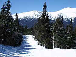 Upperwildcat-2006-0409a.jpg
