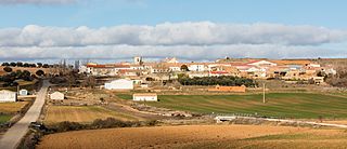 Viana de Duero, Soria, España, 2015-12-29, DD 61.JPG