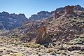 Zapato de la Reina, Parque Nacional del Teide, Tenerife, España, 2012-12-16, DD 02